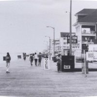 Roltex Earth Wave Tray ? Boardwalk Print 430X230Mm