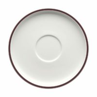 Schonwald Shiro Rim Cup and Saucer
